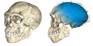 Les premiers Homo sapiens sont biens plus vieux qu'on ne le pensait (et ne vivaient pas là où on le croyait).