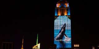 Large images of endangered species are projected on the south facade of The Empire State Building, Saturday, Aug. 1, 2015 in New York. The large scale projections are in part inspired by and produced by the filmmakers of an upcoming documentary called