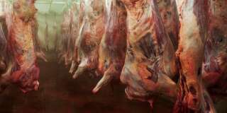 L’étiquetage des produits ne nous apprend rien sur la cruauté de la viande.