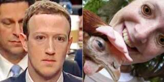 Cette image du malaise de Mark Zuckerberg au Congrès inspire les internautes