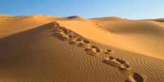 Les hommes ont-ils aidé à créer le désert du Sahara?