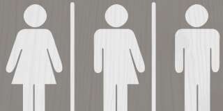 Transgender Sign, Gray and White Sign with a woman, male and transgender symbol