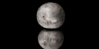 La Chine va faire pousser des patates sur la Lune l'année prochaine, grâce à des vers à soie.