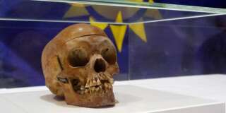 Un crâne humain d'un Herero, exposé lors d'une cérémonie à Berlin le 30 septembre 2011. REUTERS/Tobias Schwarz (POLITICS RELIGION)