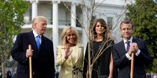 L'arbre planté par Macron et Trump à la Maison Blanche a bien été retiré, mais pour la bonne cause