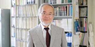 Yoshinori Ohsumi, a professor in Tokyo Institute of Technology is seen at his laboratory office in Yokohama, Japan, June 7, 2013 in this handout released by Tokyo Institute of Technology. To go with NOBEL-PRIZE/MEDICINE   Tokyo Institute of Technology/Handout via REUTERS ATTENTION EDITORS - THIS IMAGE WAS PROVIDED BY A THIRD PARTY. FOR EDITORIAL USE ONLY.     TPX IMAGES OF THE DAY