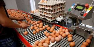 Les lots d'œufs contaminés au fipronil identifiés dans le Morbihan.