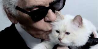 Karl Lagerfeld et son chat Choupette, héritière du créateur mort le 19 février 2019.