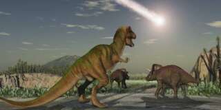 Les empreintes d'un nouveau dinosaure géant découvertes en Afrique (photo d'illustration).