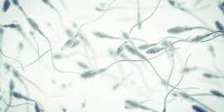Sperme et pollution de l'air font mauvais ménage, selon cette étude