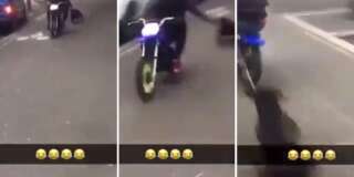 La vidéo d'un chien traîné par un scooter à Bobigny indigne, 30 Millions d'Amis dépose plainte