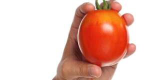 man hand with red tomato...