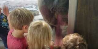 Les quatre enfants ont eu la surprise de voir l'ours déféquer sous leurs yeux.