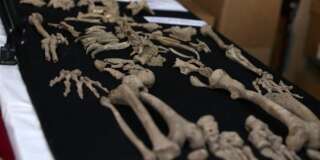 On a découvert au Pérou les sépultures d'une civilisation qui vivait 2000 ans avant les Incas