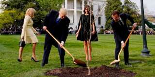 La photo de Trump et Macron qui plantent un chêne vaut le détour(nement)