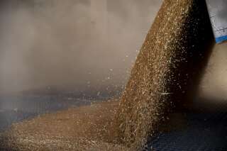 La Russie est accusée de voler des céréales ukrainiennes et de les revendre pour son propre profit (image d'illustration).