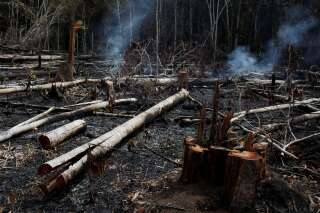 Alors que nous sommes dans une année normale pour l’Amazonie, 72.843 feux y ont été détectés.