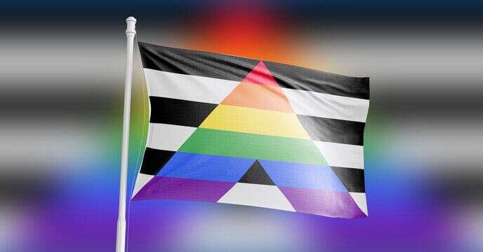 Des bandes noires et blanches, avec un A majuscule arc-en-ciel au milieu. Ce drapeau, utilisé par les hétérosexuels, fait débat au sein de la communauté LGBT.