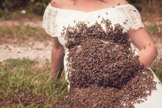 Cette mère enceinte pose avec 20.000 abeilles sur le ventre
