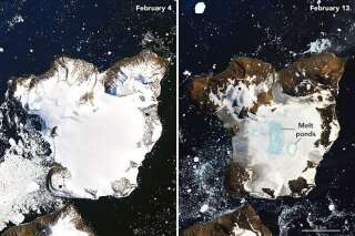 Cette île de l'Antarctique a perdu 20% de sa neige en 10 jours