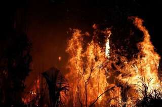 Une parcelle de forêt amazonienne brûle, défrichée par les bûcherons et les agriculteurs, près d’Altamira, au Brésil, le 27 août 2019.