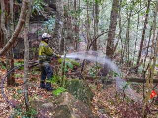 La mission des pompiers s'est faite dans le plus grand secret pour garder cacher les pins de Wollemi du grand public.