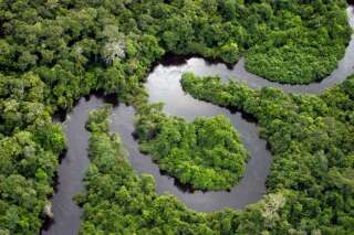Sur Facebook, des parcelles de la forêt amazonienne vendues illégalement