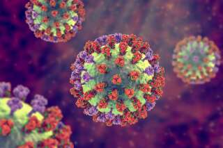 Imagen que muestra la estructura o composición de un virus de influenza (Influenza).  Incluye glicoproteínas de superficie: hemaglutininas (en rojo) y neuraminidasa (en púrpura)