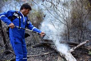 Evo Morales aidant les pompiers contre les incendies dans la jungle bolivienne