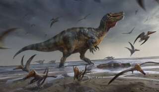 illustration de la nouvelle espèce de spinosaure, plus gros carnivore jamais découvert en Europe.