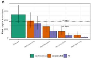 Chaque colonne représente le nombre quotidien de nouvelles hospitalisations calculé par le modèle. En vert, le scénario de base sans mesures. En orange, l'impact d'une baisse de la transmission du virus chez les non-vaccinés et en bleu, sur la population générale non-vaccinés.