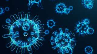 Le variant anglais du coronavirus, ou B.1.1.7, serait jusqu'à 56% plus contagieux que les autres souches.