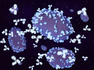 277 cas du virus de la variole du singe ont été recensés ce mardi 21 juin par Santé Publique France.
