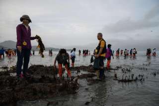 Une des plages du comté de Jindo a été volontairement polluée par le maire de la ville la veille du World Clean Up Day.