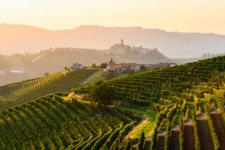 Face à la possible apparition du nutri-score sur les bouteilles de vin en Europe, l'Italie s'inquiète et en appelle à Emmanuel Macron pour qu'il intervienne contre les concepteur français du système d'étiquetage (photo d'illustration prise dans le Piémont, dans la région viticole du Langhe-Roero).
