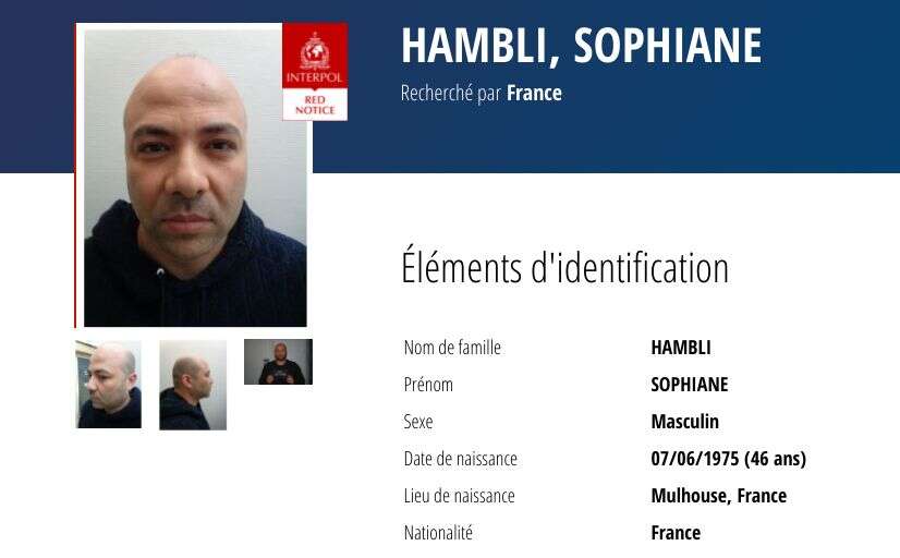 Le trafiquant de drogue Sofiane Hambli, baron français du trafic de stupéfiants, a été arrêté au Maroc après une énième cavale de plusieurs mois (capture d'écran de sa notice Interpol).