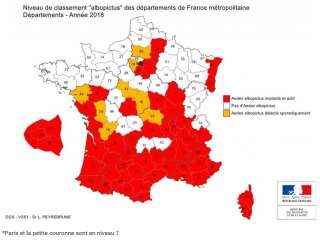 Le moustique tigre est présent dans 51 départements en France.