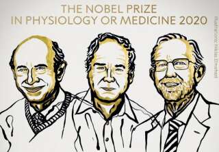 Le prix Nobel de médecine 2020 a récompensé la découverte du virus de l'hépatite C par Michael Houghton, Harvey Alter et Charles Rice.