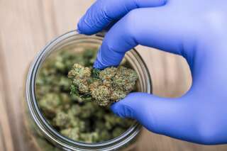 Le cannabis médical va être autorisé au Royaume-Uni dès cet automne