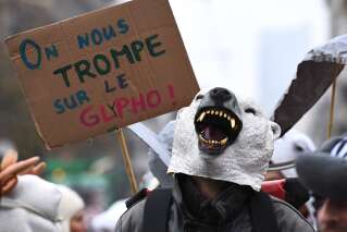 L'interdiction du glyphosate, un cauchemar pour la SNCF
