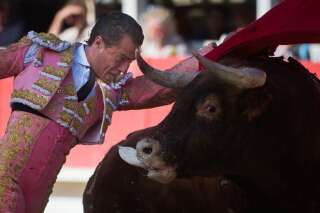 Mort du matador Ivan Fandiño lors d'une corrida à Aire-sur-l'Adour
