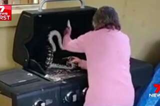 Cette grand-mère australienne déloge les serpents comme personne