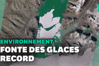 Au Groenland, une étendue de glace grande comme la Floride a fondu en un jour