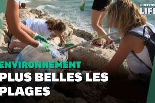 Marseille: les vacanciers profitent de la plage, les bénévoles la nettoient