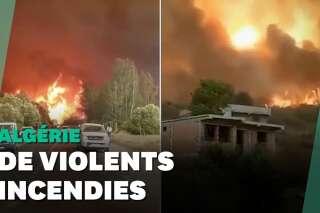 En Algérie, des dizaines d'incendies 