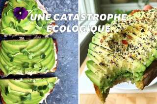L'avocado toast en voie de disparition pour des raisons écologiques