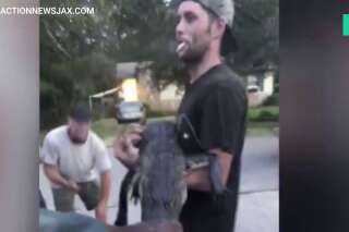 En Floride, la vidéo de cet homme qui va acheter des bières avec un crocodile fait scandale