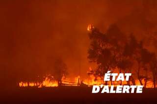 Les incendies en Australie gagnent Canberra placée en état d'alerte