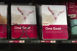 Acheter une chèvre dans un distributeur, c'est possible