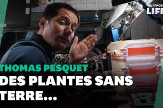 Thomas Pesquet essaie de faire pousser des plantes sur l'ISS, voici comment